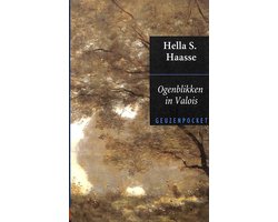 Kaft van Ogenblikken in Valois
