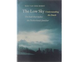 Kaft van The low sky
