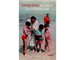 Kaft van Het kabinet van de familie Staal