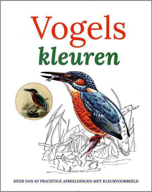 Kaft van Kleurboek Vogels