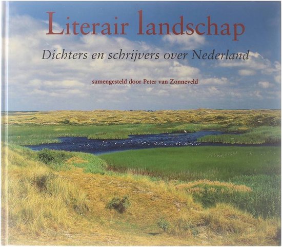 Kaft van Literair landschap