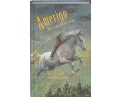 Kaft van Amerigo