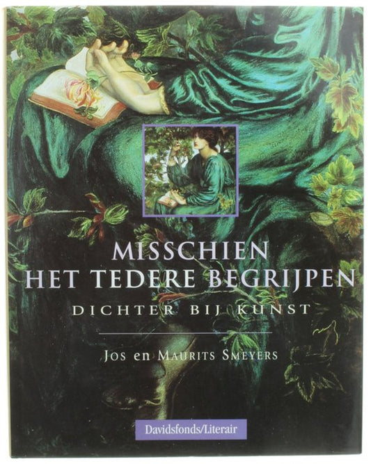 Kaft van Misschien het tedere begrijpen - dichter bij kunst