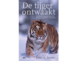 Kaft van De tijger ontwaakt