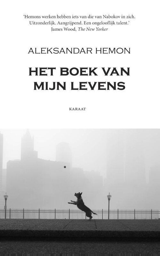Kaft van Het boek van mijn levens