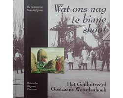 Kaft van Wat ons nag te binne skoot