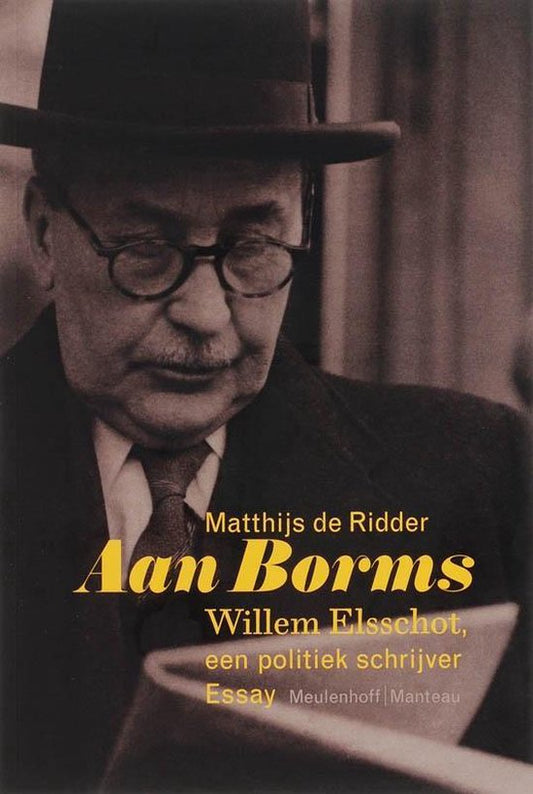 Kaft van Aan Borms