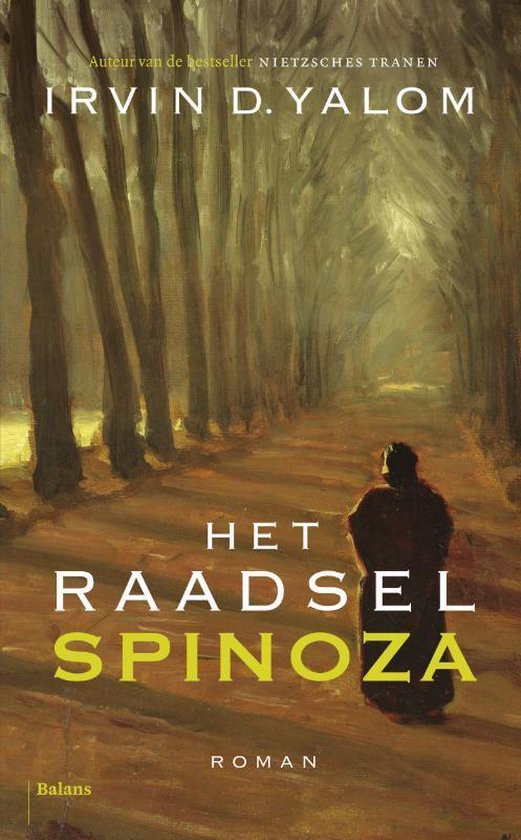 Kaft van Het raadsel spinoza