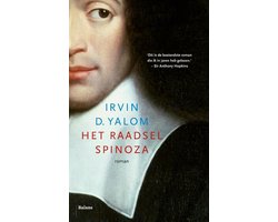 Kaft van Het raadsel Spinoza