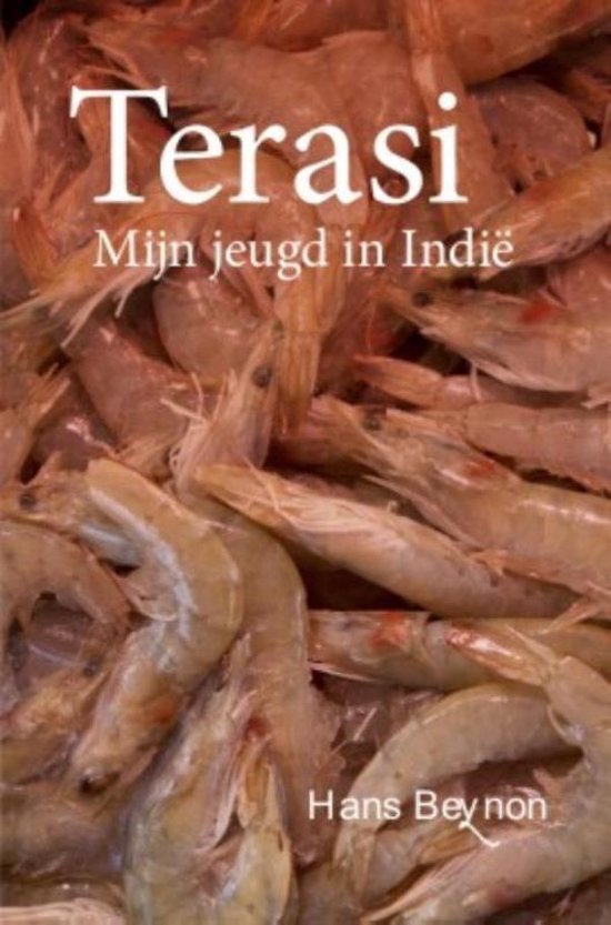 Kaft van Terasi