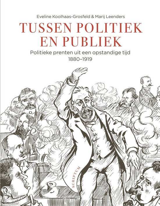 Kaft van Tussen politiek & publiek