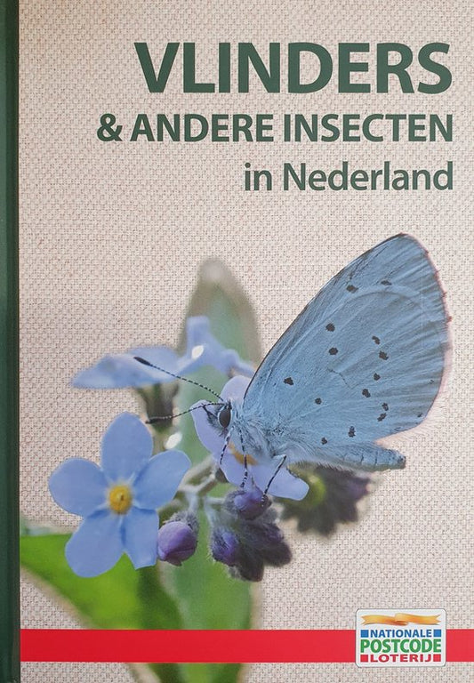 Kaft van Vlinders & andere insecten in Nederland